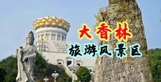 操死小骚逼吧视频中国浙江-绍兴大香林旅游风景区